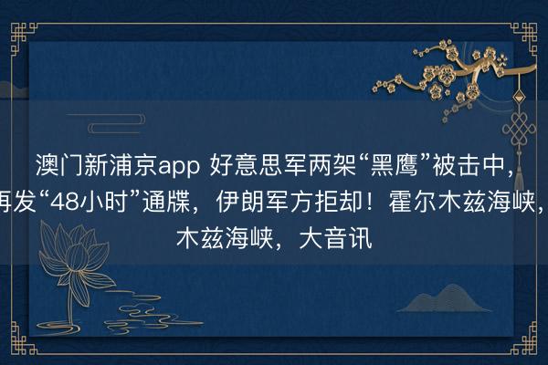 澳门新浦京app 好意思军两架“黑鹰”被击中，特朗普再发“48小时”通牒，伊朗军方拒却！霍尔木兹海峡，大音讯