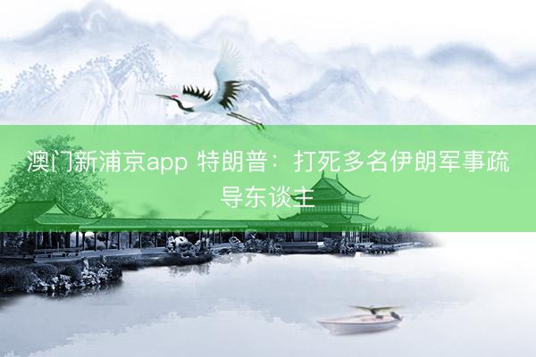 澳门新浦京app 特朗普：打死多名伊朗军事疏导东谈主