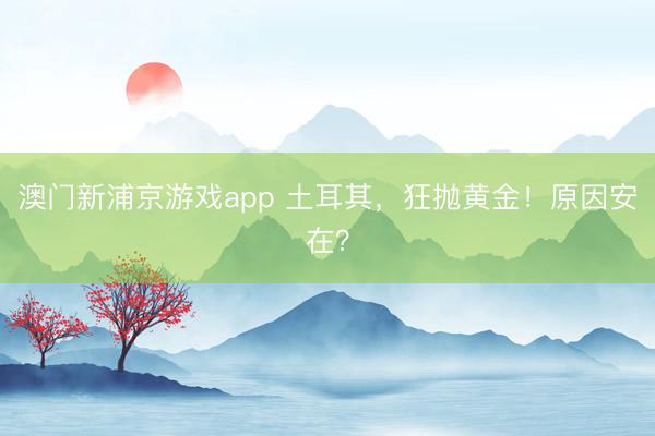 澳门新浦京游戏app 土耳其,狂抛黄金!原因安在?
