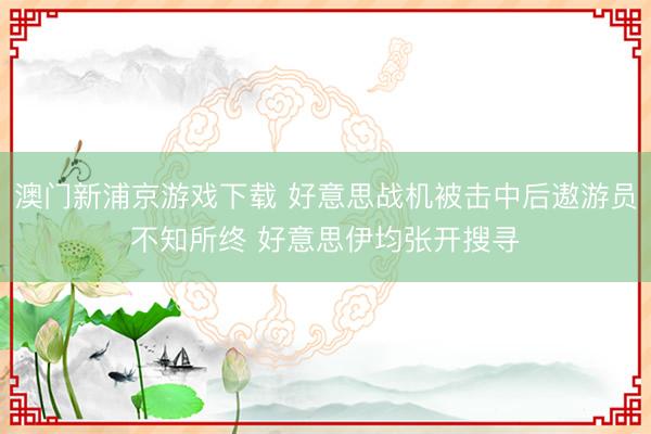 澳门新浦京游戏下载 好意思战机被击中后遨游员不知所终 好意思伊均张开搜寻