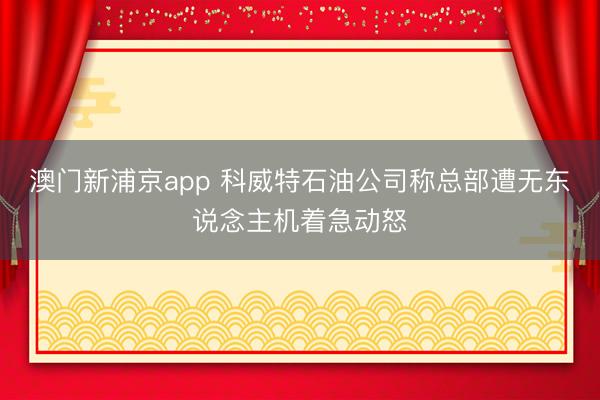 澳门新浦京app 科威特石油公司称总部遭无东说念主机着急动怒