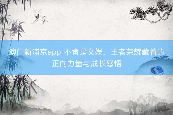 澳门新浦京app 不啻是文娱，王者荣耀藏着的正向力量与成长感悟