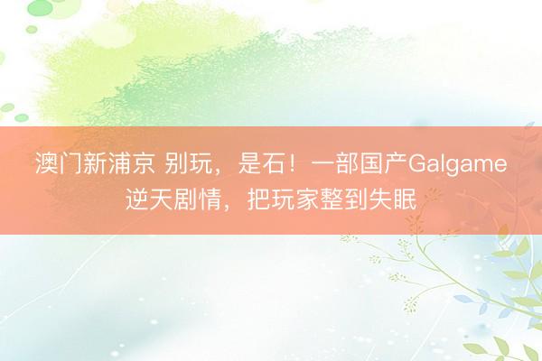 澳门新浦京 别玩,是石!一部国产Galgame逆天剧情,把玩家整到失眠