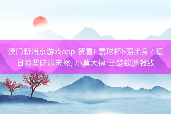 澳门新浦京游戏app 贺喜! 寰球杯8强出身? 德日险些防患未然, 小莫大捷 王楚钦遇强敌