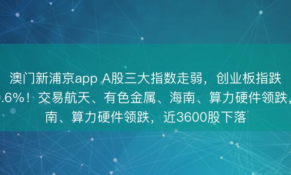 澳门新浦京app A股三大指数走弱,创业板指跌逾2%,沪指跌0.6%!交易航天、有色金属、海南、算力硬件领跌,近3600股下落