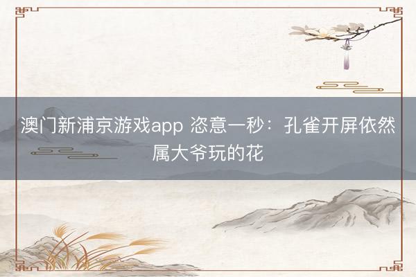 澳门新浦京游戏app 恣意一秒：孔雀开屏依然属大爷玩的花