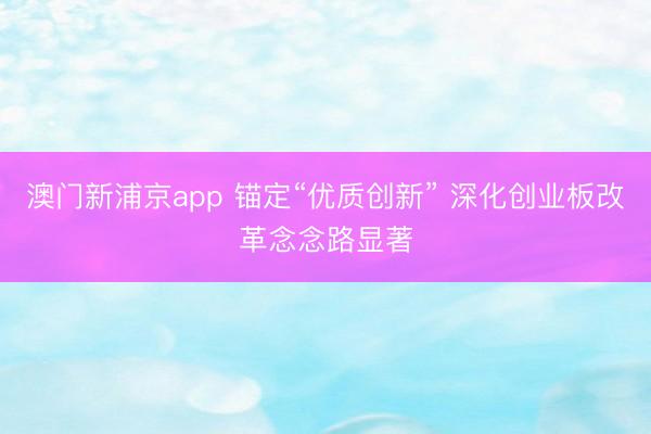 澳门新浦京app 锚定“优质创新” 深化创业板改革念念路显著