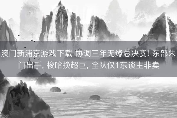 澳门新浦京游戏下载 协调三年无缘总决赛! 东部朱门出手, 梭哈换超巨, 全队仅1东谈主非卖