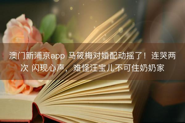 澳门新浦京app 马筱梅对婚配动摇了!连哭两次 闪现心声,难怪汪宝儿不可住奶奶家
