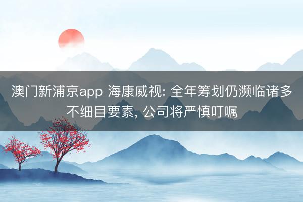 澳门新浦京app 海康威视: 全年筹划仍濒临诸多不细目要素， 公司将严慎叮嘱