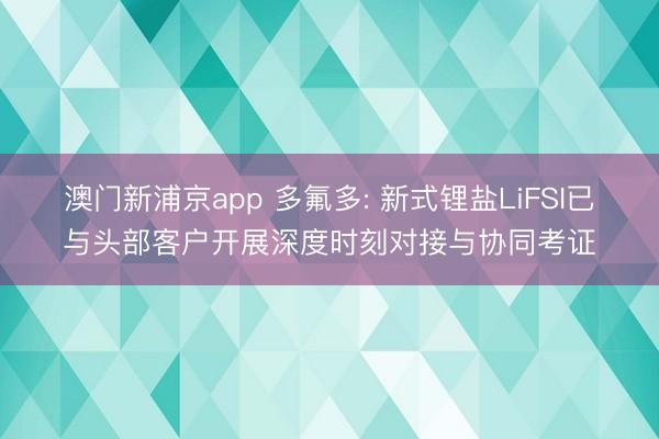 澳门新浦京app 多氟多: 新式锂盐LiFSI已与头部客户开展深度时刻对接与协同考证