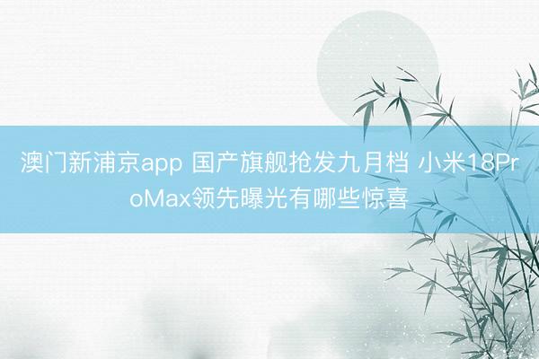 澳门新浦京app 国产旗舰抢发九月档 小米18ProMax领先曝光有哪些惊喜