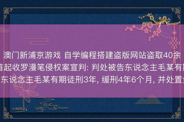 澳门新浦京游戏 自学编程搭建盗版网站盗取40余万部原创漫笔， 浙江首起收罗漫笔侵权案宣判: 判处被告东说念主毛某有期徒刑3年， 缓刑4年6个月， 并处置金48万元