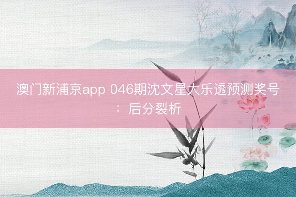 澳门新浦京app 046期沈文星大乐透预测奖号：后分裂析