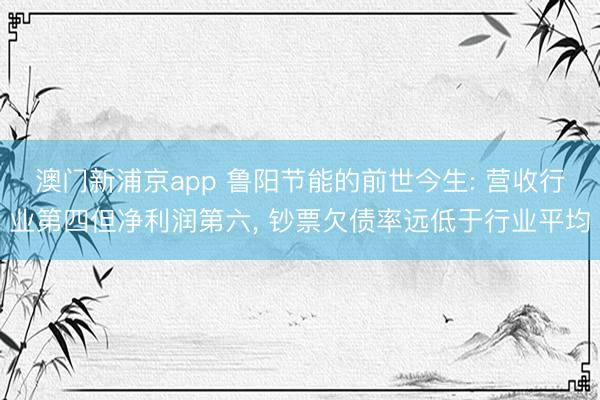 澳门新浦京app 鲁阳节能的前世今生: 营收行业第四但净利润第六， 钞票欠债率远低于行业平均