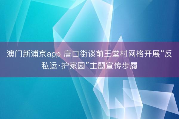 澳门新浦京app 唐口街谈前王堂村网格开展“反私运·护家园”主题宣传步履