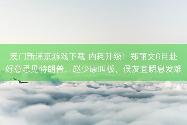澳门新浦京游戏下载 内耗升级！郑丽文6月赴好意思见特朗普，赵少康叫板，侯友宜瞬息发难