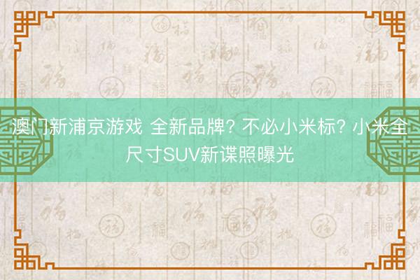 澳门新浦京游戏 全新品牌? 不必小米标? 小米全尺寸SUV新谍照曝光