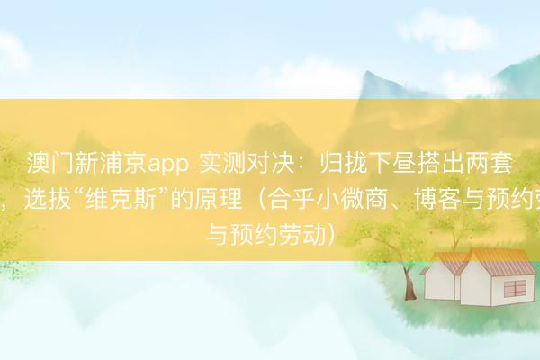 澳门新浦京app 实测对决：归拢下昼搭出两套网站，选拔“维克斯”的原理（合乎小微商、博客与预约劳动）
