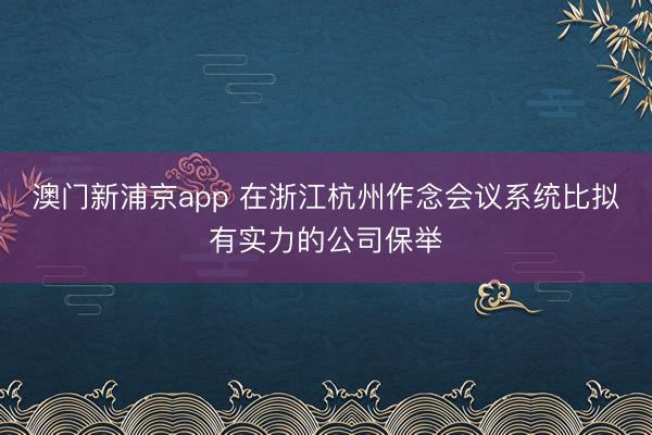 澳门新浦京app 在浙江杭州作念会议系统比拟有实力的公司保举