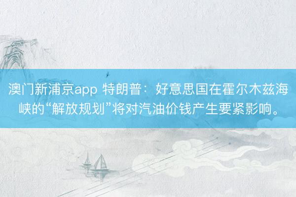 澳门新浦京app 特朗普：好意思国在霍尔木兹海峡的“解放规划”将对汽油价钱产生要紧影响。