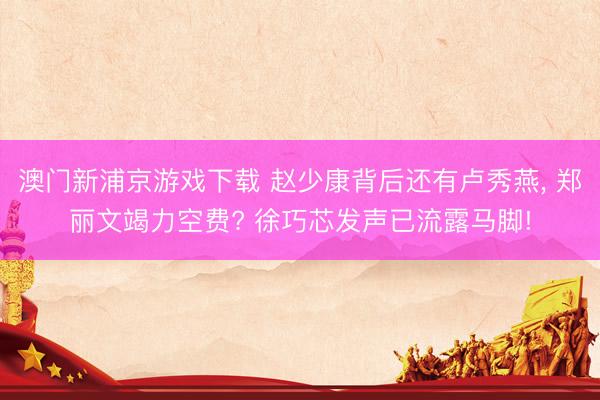 澳门新浦京游戏下载 赵少康背后还有卢秀燕， 郑丽文竭力空费? 徐巧芯发声已流露马脚!
