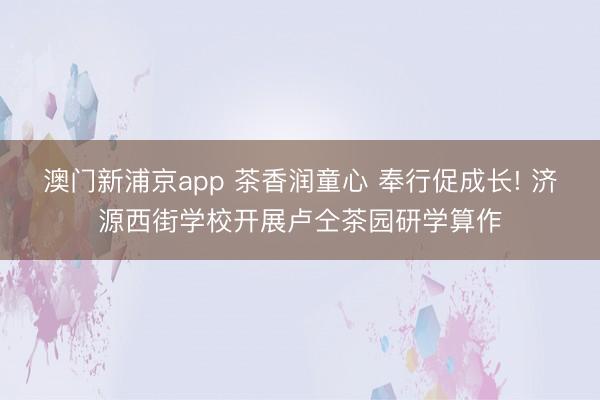 澳门新浦京app 茶香润童心 奉行促成长! 济源西街学校开展卢仝茶园研学算作